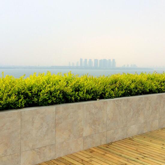 苏州园区半月湾屋顶花园案例