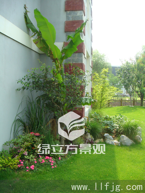 别墅庭院 别墅庭院