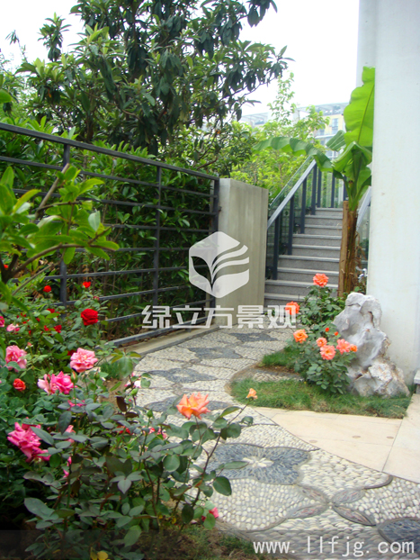 别墅庭院 别墅庭院