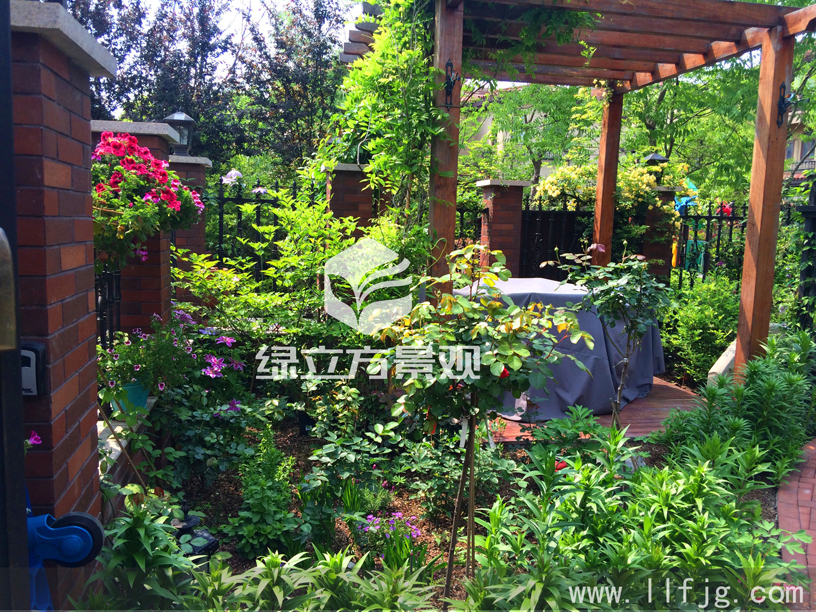 别墅庭院 别墅庭院