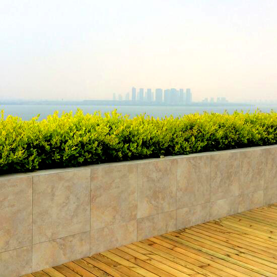 苏州园区半月湾屋顶花园设计施工案例