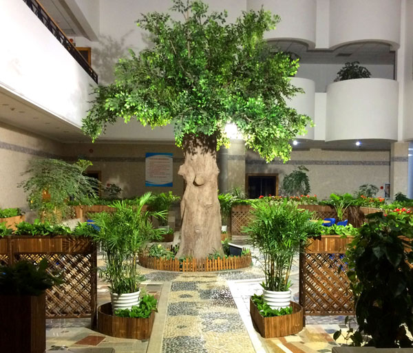 苏州大学中庭花园改造