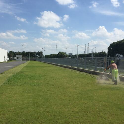 苏州园区制药厂区绿化养护工程开工