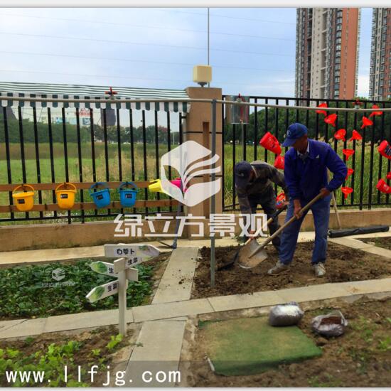 绿立方景观协助苏州工业园区钟园幼儿园开展种植活动