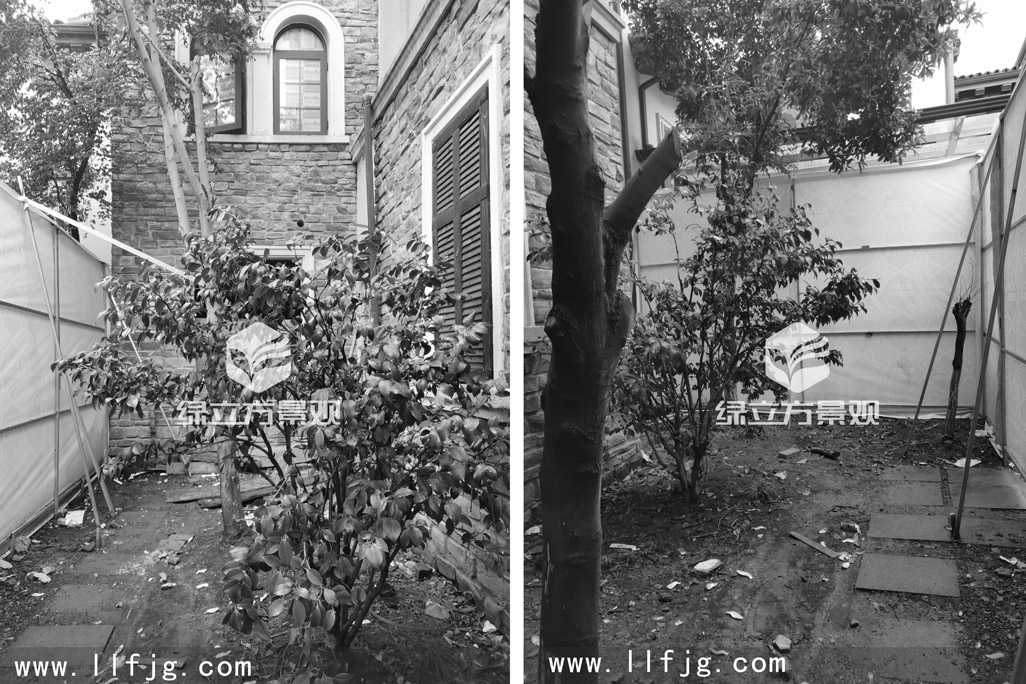 庭院景观设计 花园景观设计方案 庭院景观方案 院子设计 院子规划