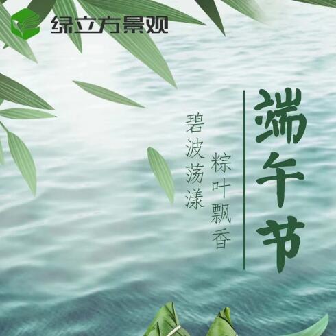 碧波荡漾，粽叶飘香
