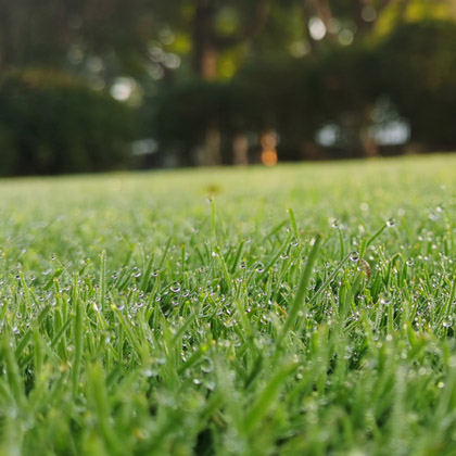雨水节气——园艺人的春天来了