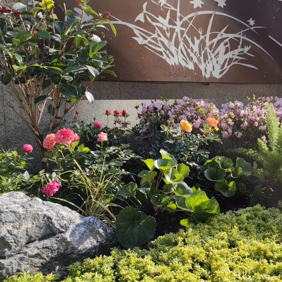 一天能否快速完成别墅庭院花境改造？