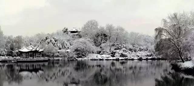 苏州园林设计，花园绿化，庭院绿化，雪后维护，庭院冰冻，水池结冰，庭院维修