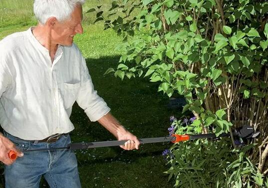 植物修剪，花园设计效果，花园绿化，花园苗木，别墅花园养护，花园设计，庭院设计，植物修剪，庭院绿化植物，草坪修剪