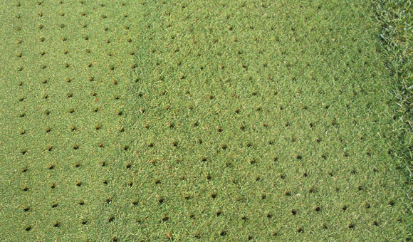 草坪养护，草坪打孔，别墅草坪养护，苏州绿化养护