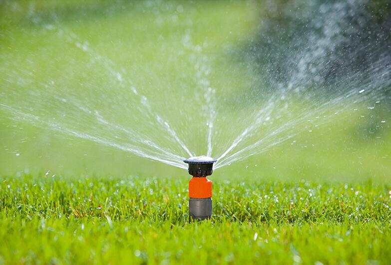 草坪浇水，草坪养护，苏州庭院养护，苏州别墅养护，苏州绿化公司