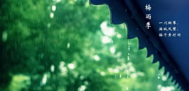 苏州梅雨季节的庭院花园植物养护措施