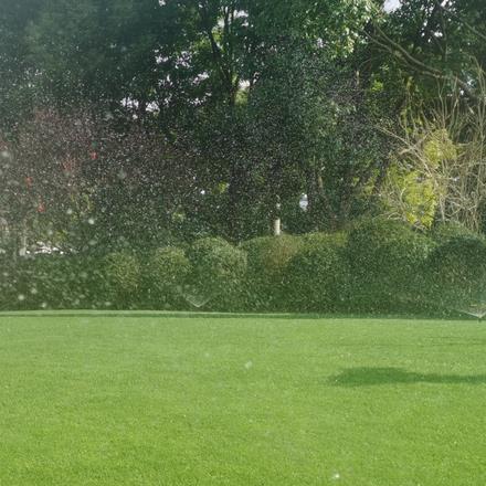 3月份草坪如何浇水？