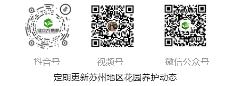 1774255128239083.png 三个码.png