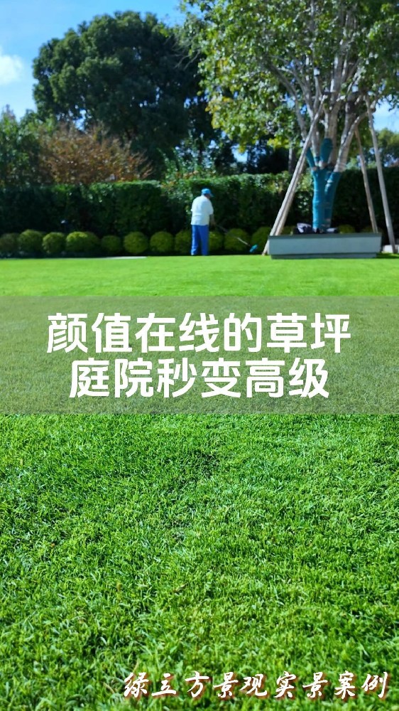 #苏州庭院草坪养护 #苏式庭院改造 #同城庭院设计#苏州庭院设计 #我的治愈小院 #苏州庭院草坪养护 #苏式庭院改造 #同城庭院设计#苏州庭院设计 #我的治愈小院